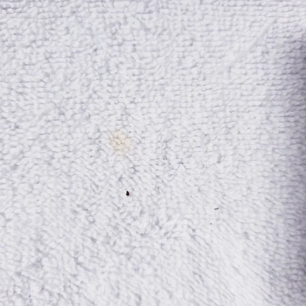 Vintage 90s Ralph Lauren Polo Bear USA Spell Out‎ Terry Cloth Beach Bath Towel